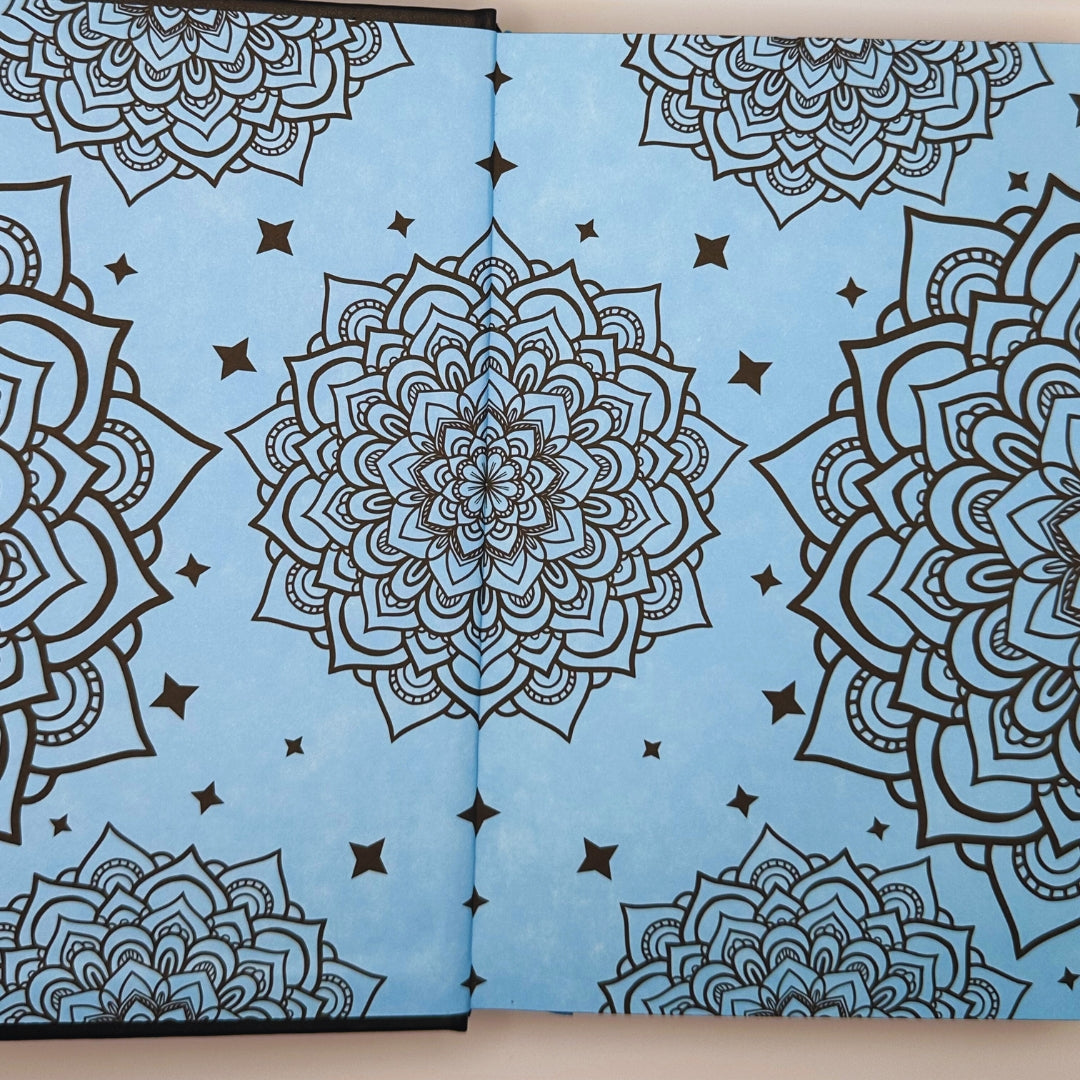 The Heir Apparent (The Sanyare Chronicles, Book 2)