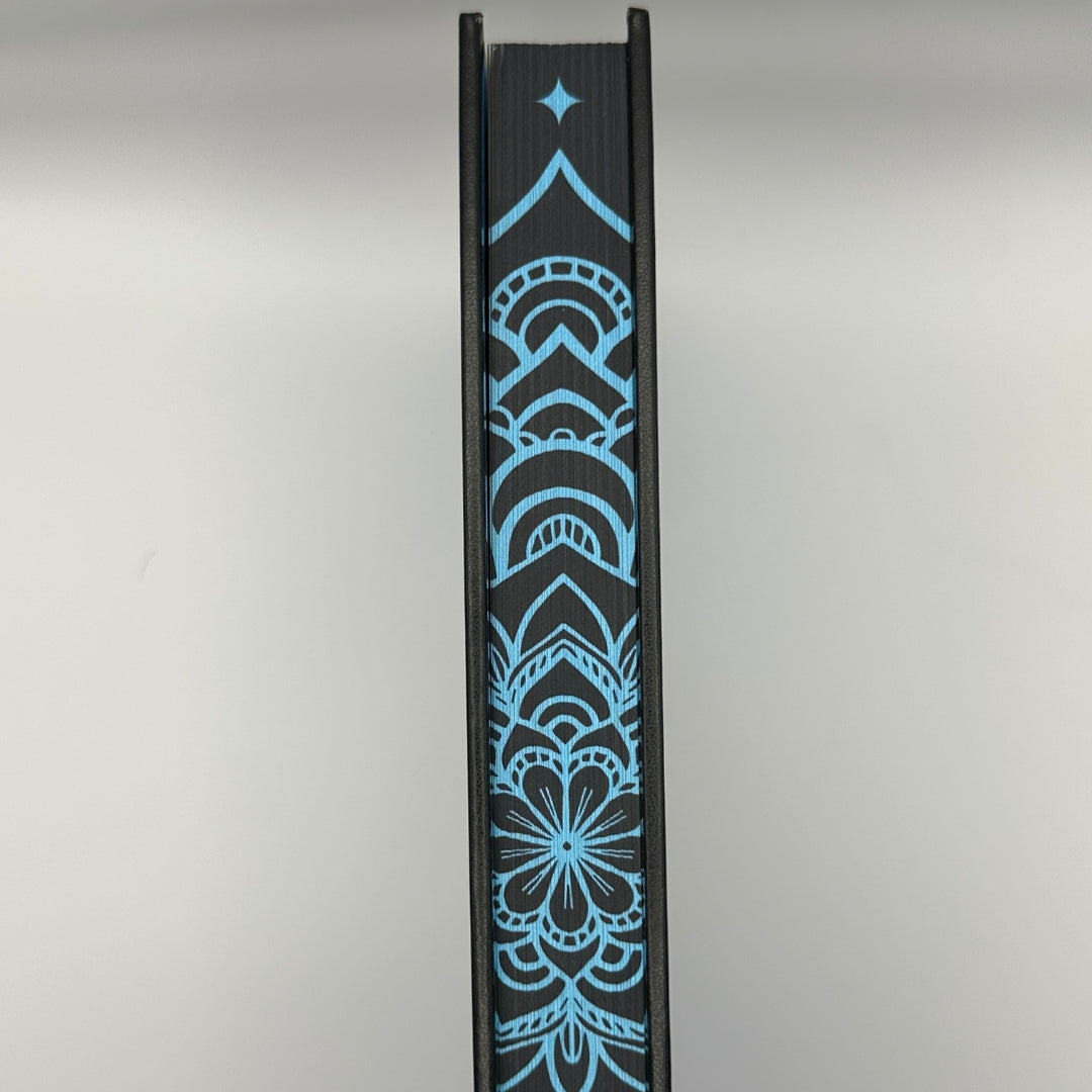 The Heir Apparent (The Sanyare Chronicles, Book 2)